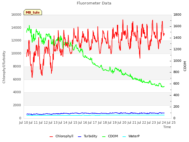 plot of Fluorometer Data