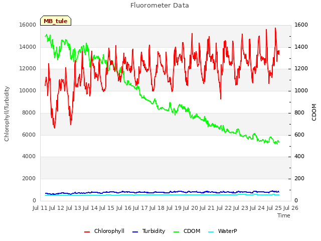 plot of Fluorometer Data