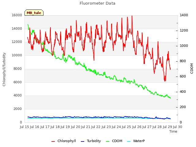 plot of Fluorometer Data