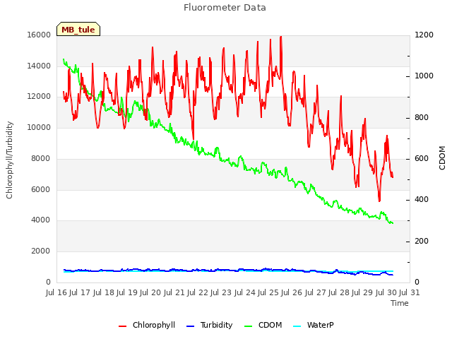 plot of Fluorometer Data