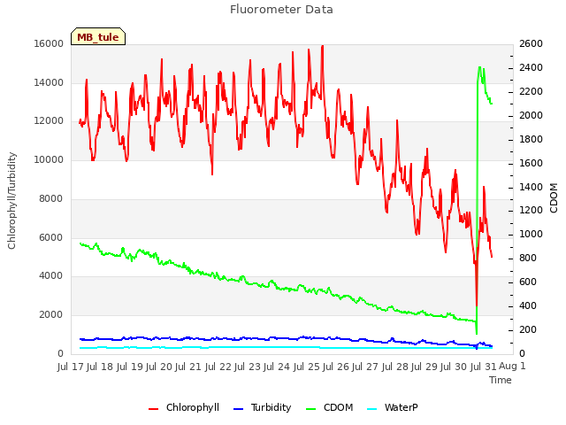 plot of Fluorometer Data