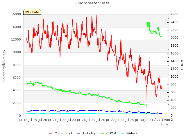 plot of Fluorometer Data