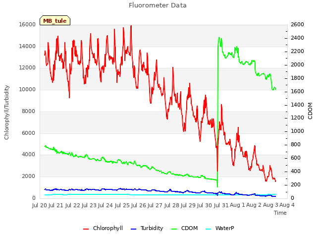 plot of Fluorometer Data