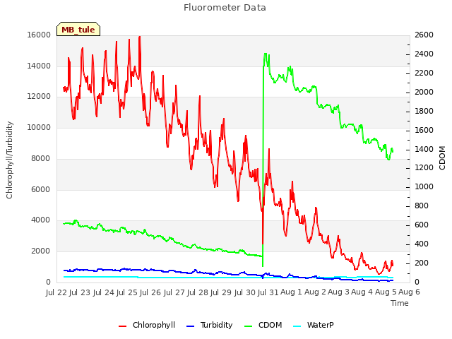 plot of Fluorometer Data