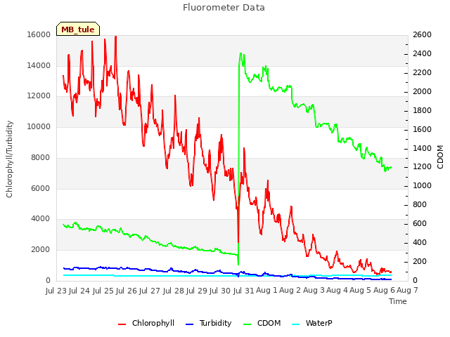 plot of Fluorometer Data