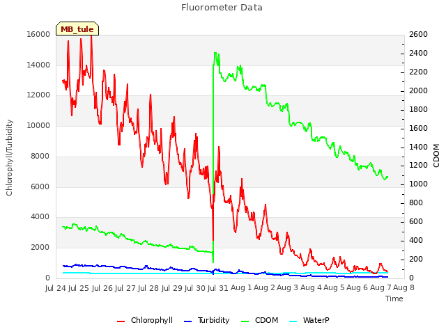 plot of Fluorometer Data