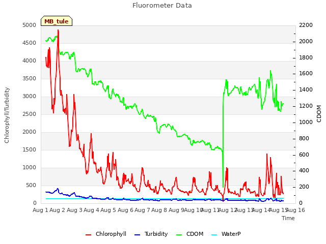 plot of Fluorometer Data