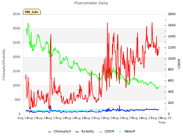 plot of Fluorometer Data