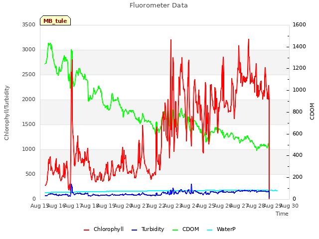 plot of Fluorometer Data