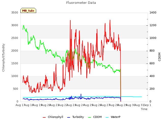 plot of Fluorometer Data