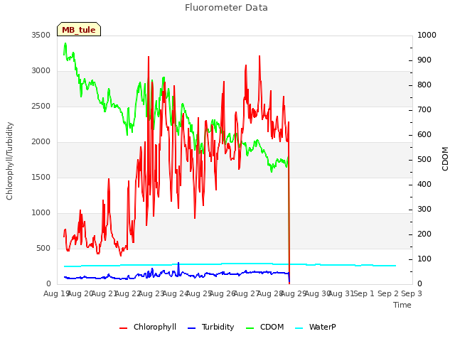 plot of Fluorometer Data