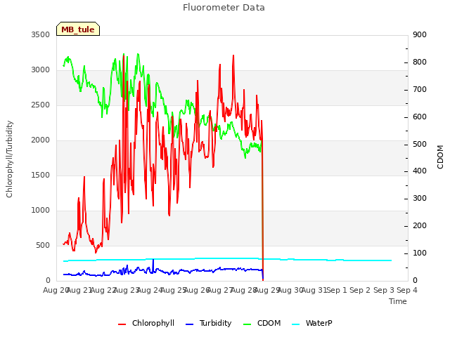 plot of Fluorometer Data