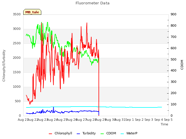 plot of Fluorometer Data