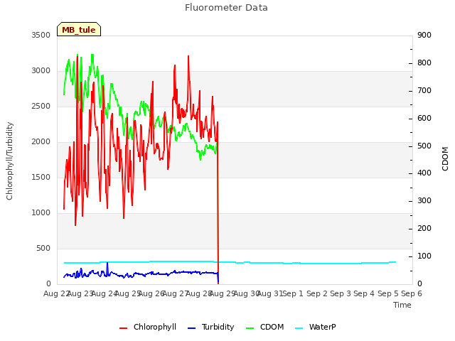 plot of Fluorometer Data