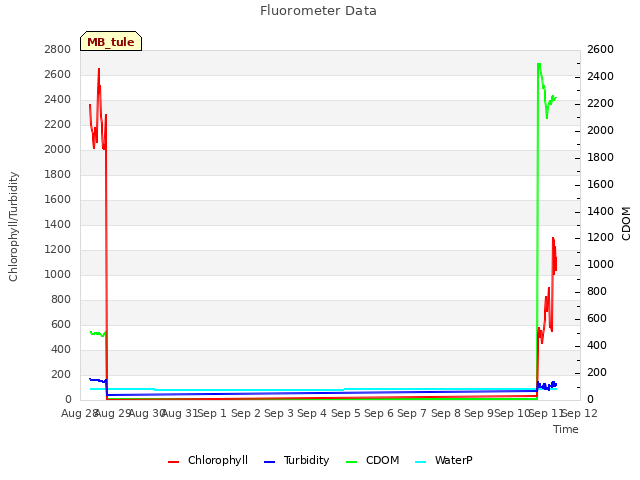 plot of Fluorometer Data