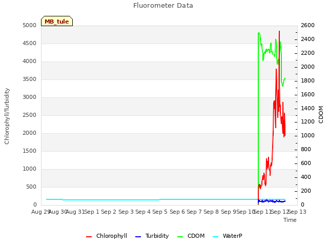 plot of Fluorometer Data