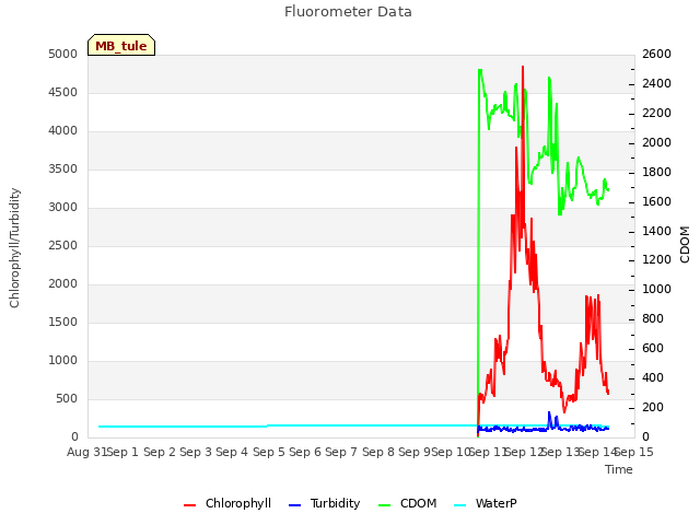 plot of Fluorometer Data