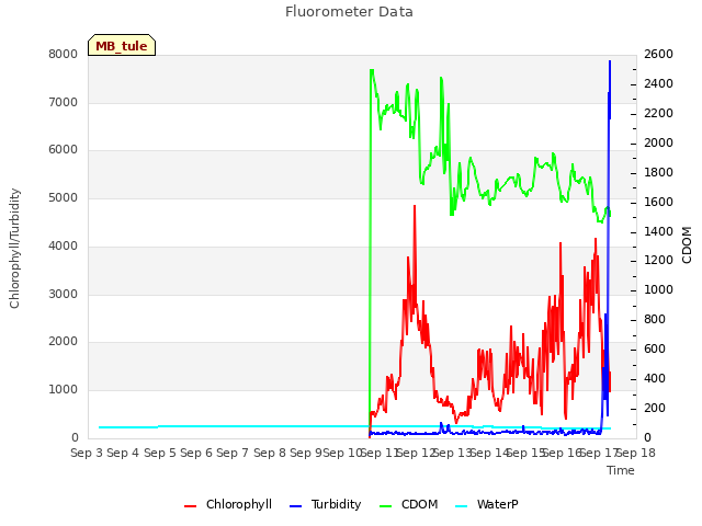 plot of Fluorometer Data