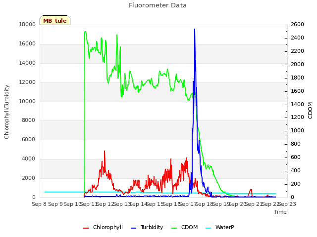 plot of Fluorometer Data