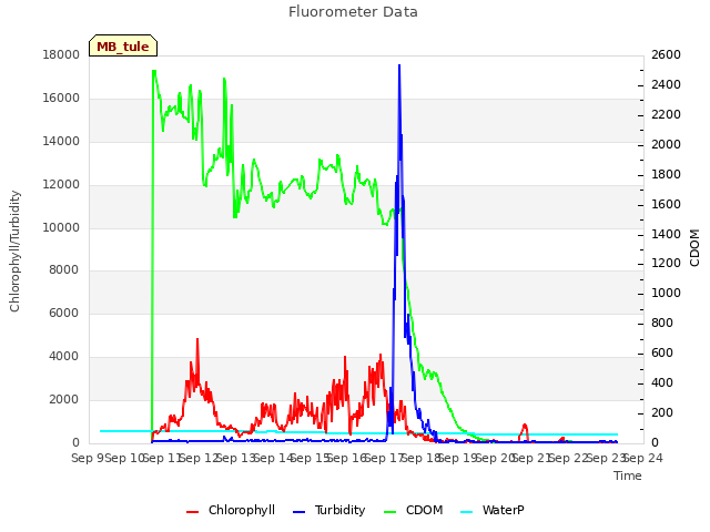 plot of Fluorometer Data