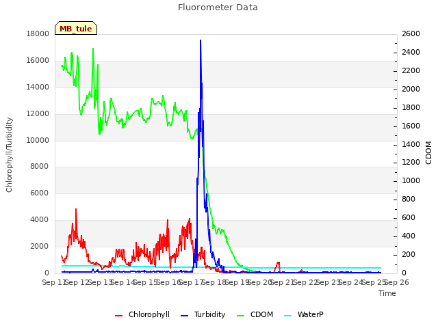 plot of Fluorometer Data