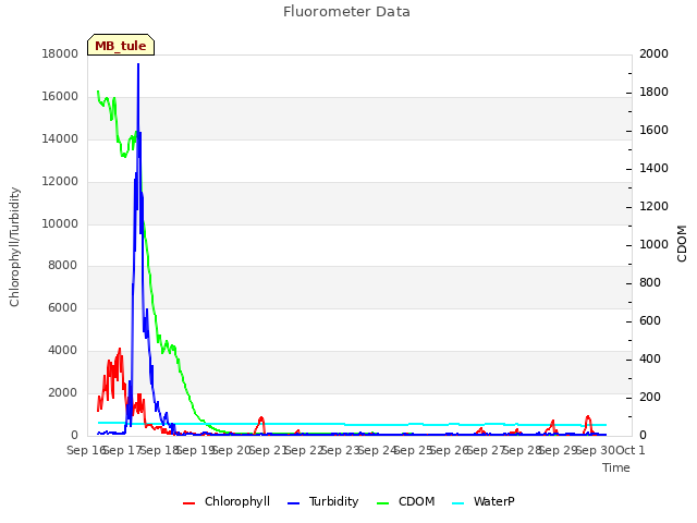 plot of Fluorometer Data