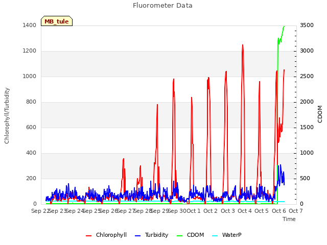 plot of Fluorometer Data