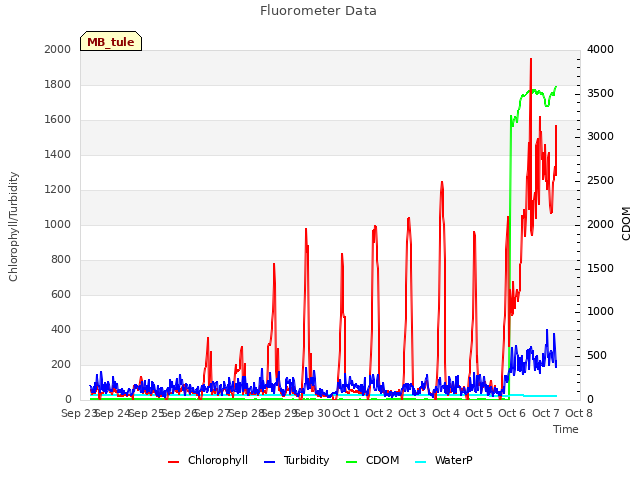 plot of Fluorometer Data