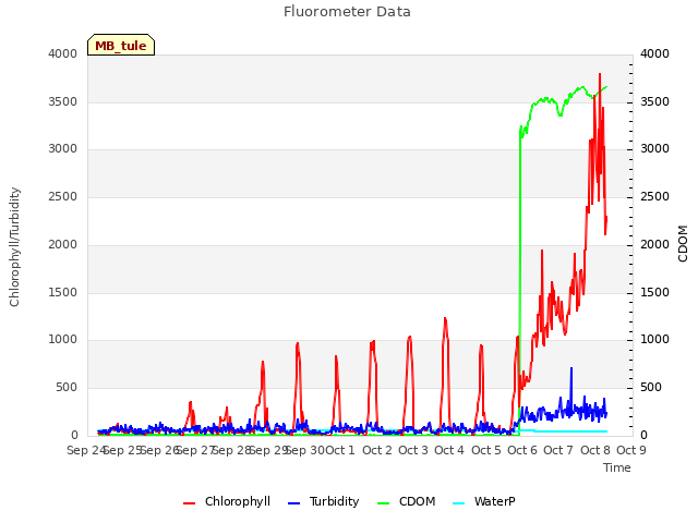 plot of Fluorometer Data