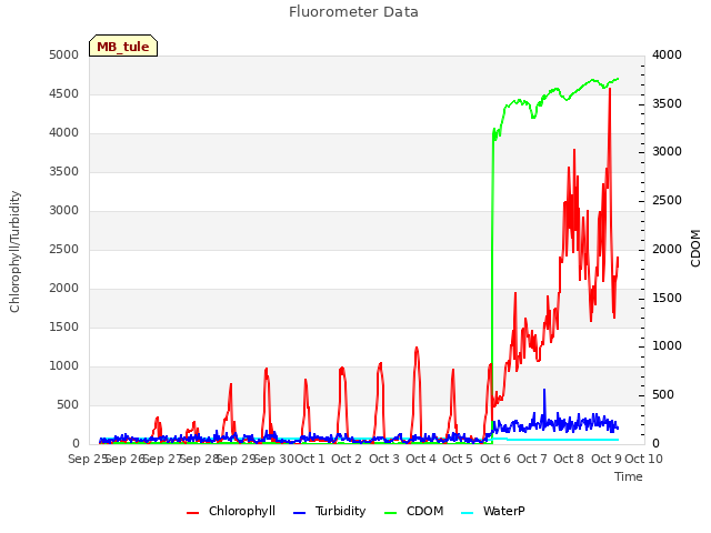 plot of Fluorometer Data