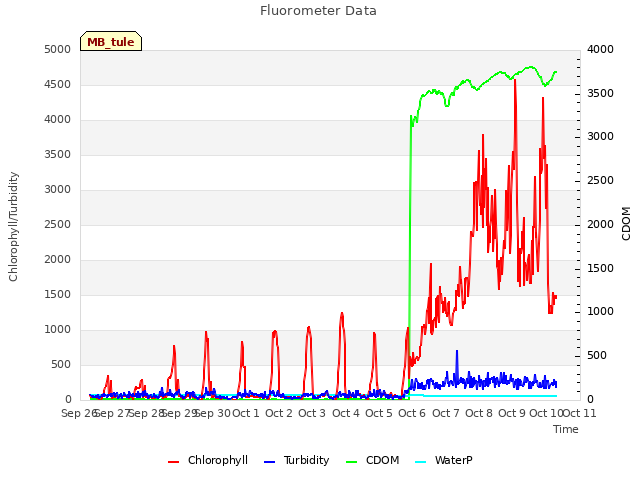 plot of Fluorometer Data