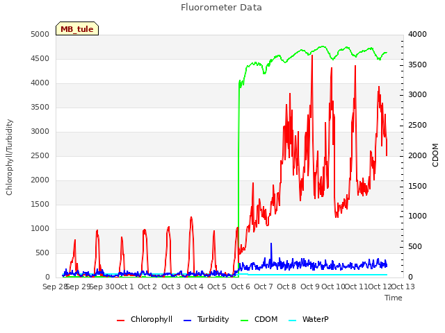 plot of Fluorometer Data