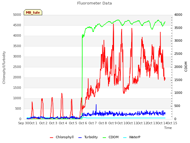 plot of Fluorometer Data