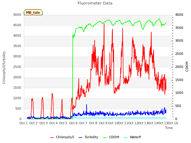 plot of Fluorometer Data