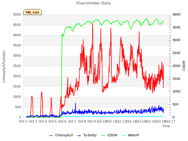 plot of Fluorometer Data