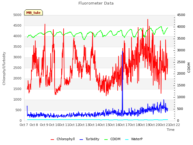 plot of Fluorometer Data