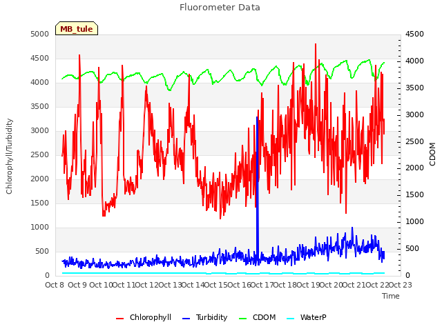 plot of Fluorometer Data