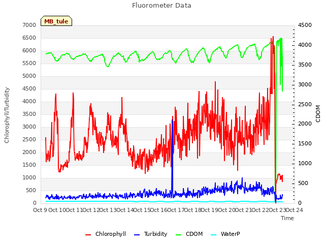 plot of Fluorometer Data