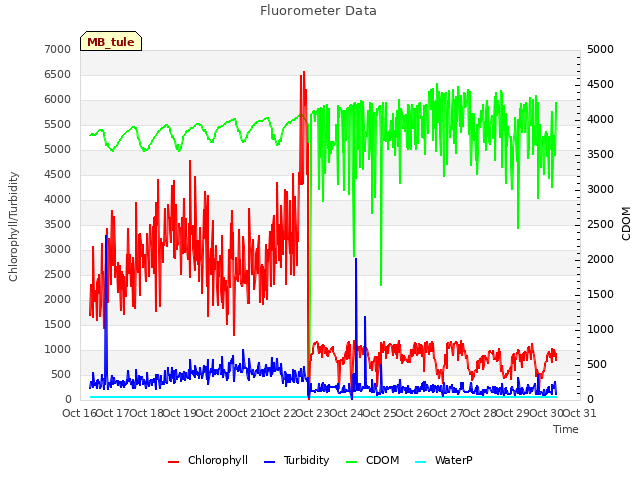 plot of Fluorometer Data