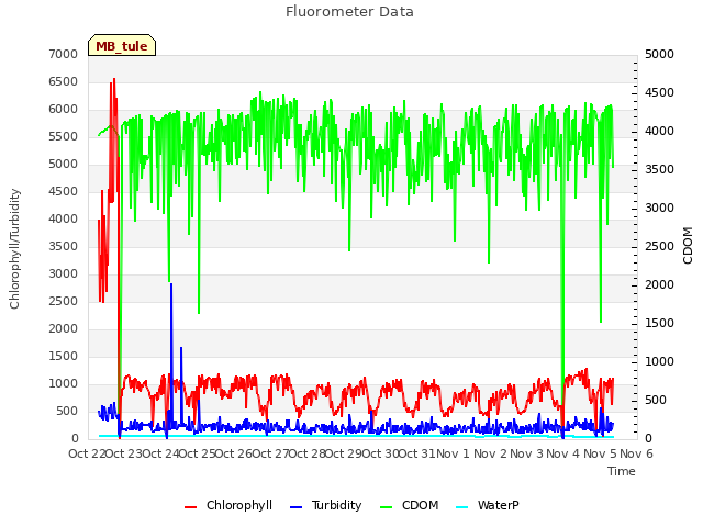 plot of Fluorometer Data