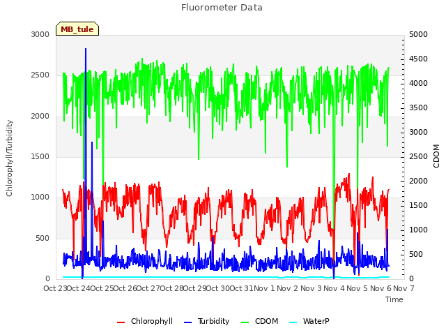 plot of Fluorometer Data