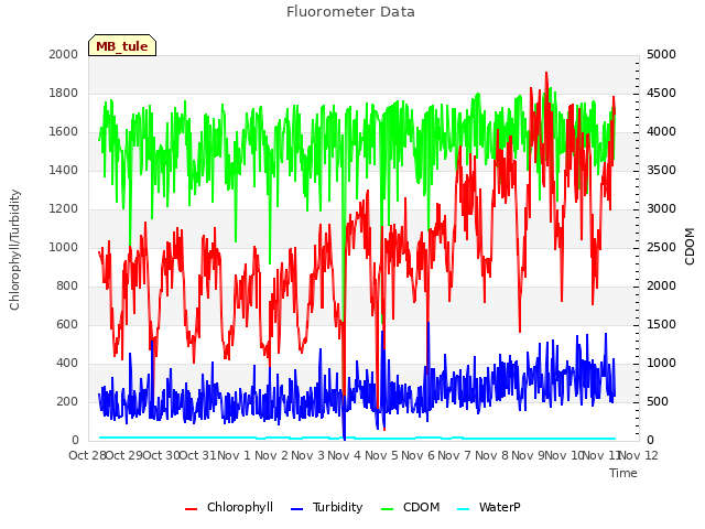 plot of Fluorometer Data