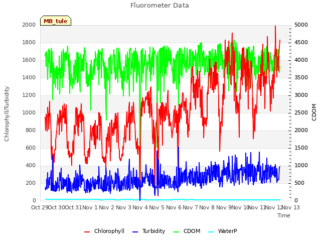 plot of Fluorometer Data