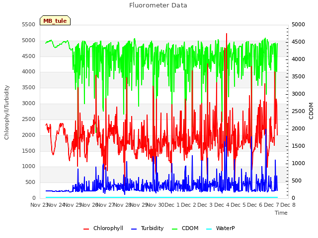 plot of Fluorometer Data