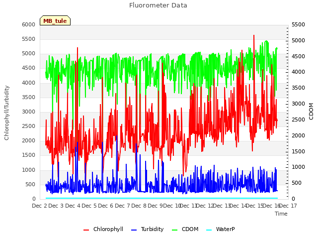 plot of Fluorometer Data