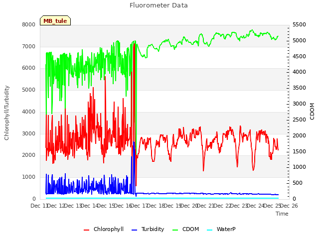 plot of Fluorometer Data