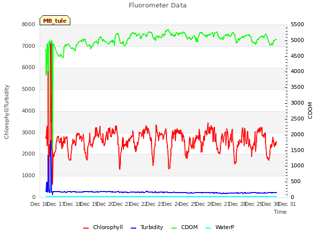 plot of Fluorometer Data