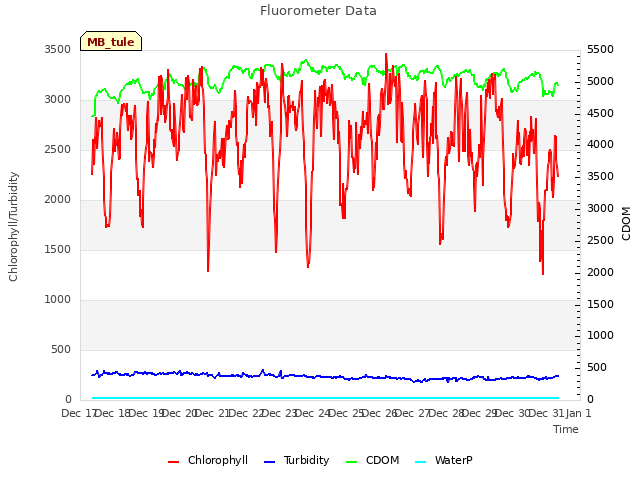 plot of Fluorometer Data