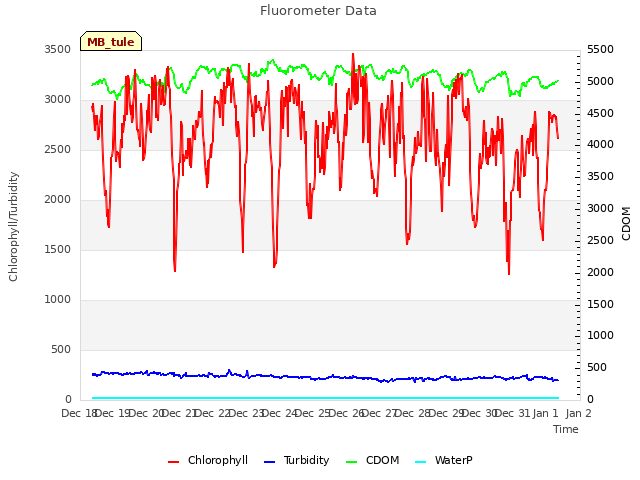 plot of Fluorometer Data