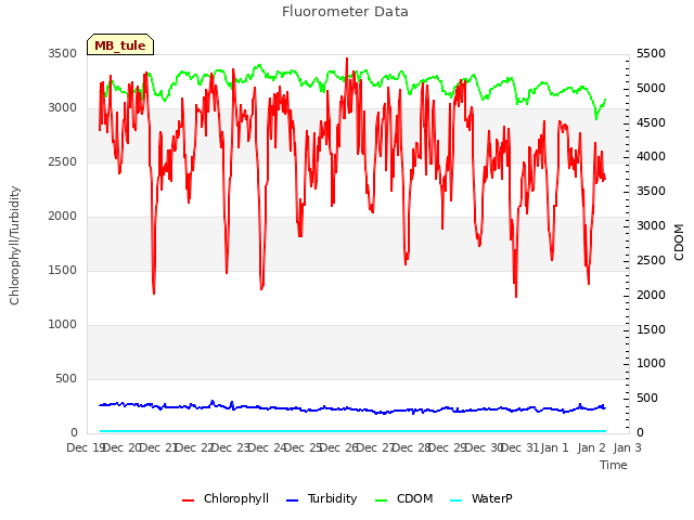 plot of Fluorometer Data